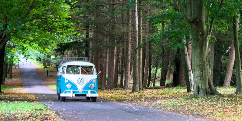 Sort stationcar kører i skov